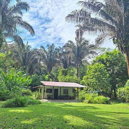 Four Monkeys Eco Lodge Jungle & Beach - The House Cabo Matapalo Exterior foto