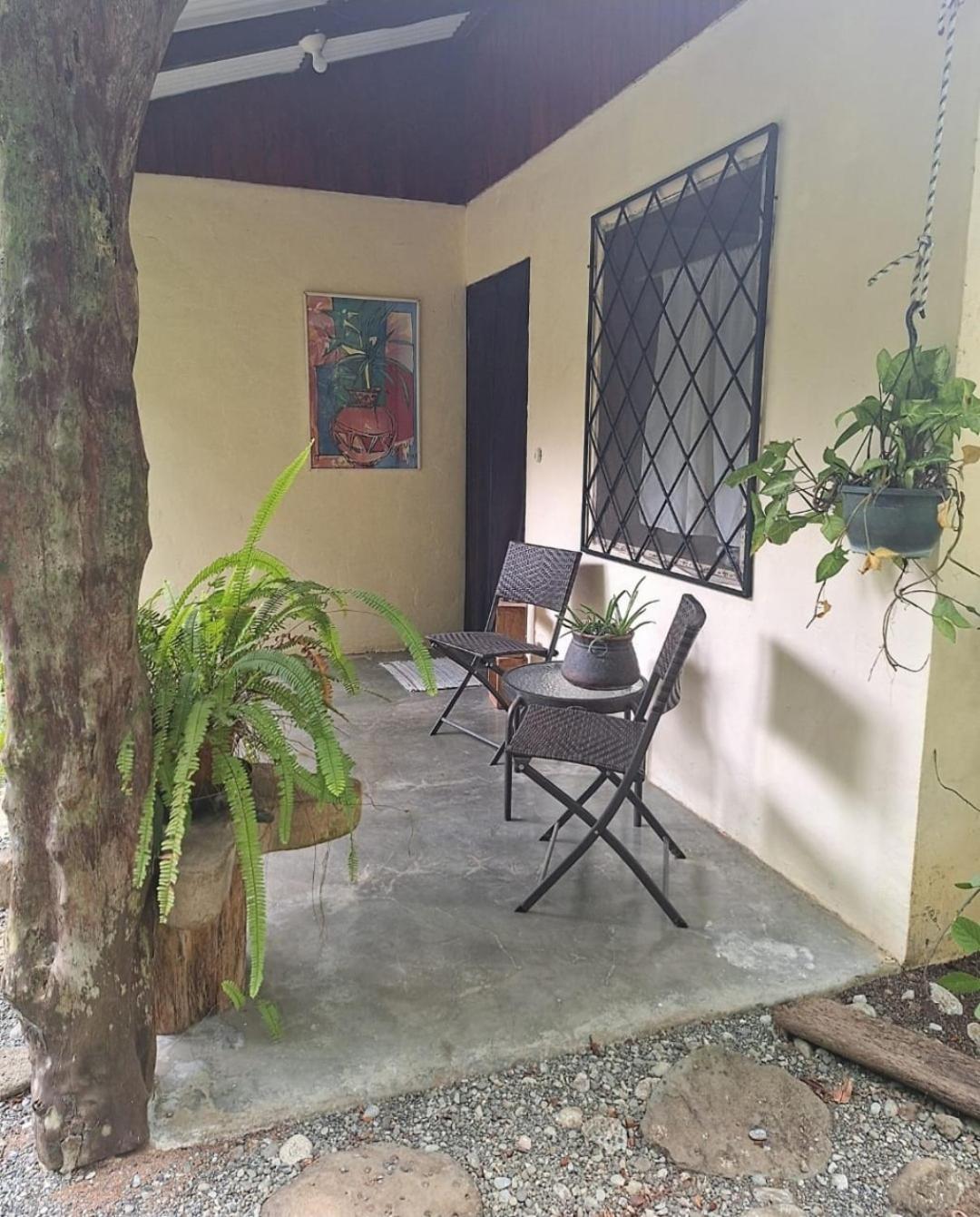 Four Monkeys Eco Lodge Jungle & Beach - The House Cabo Matapalo Exterior foto